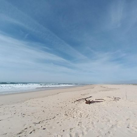 Apartment Close To The Ria De Aveiro, Sao Jacinto Eksteriør billede