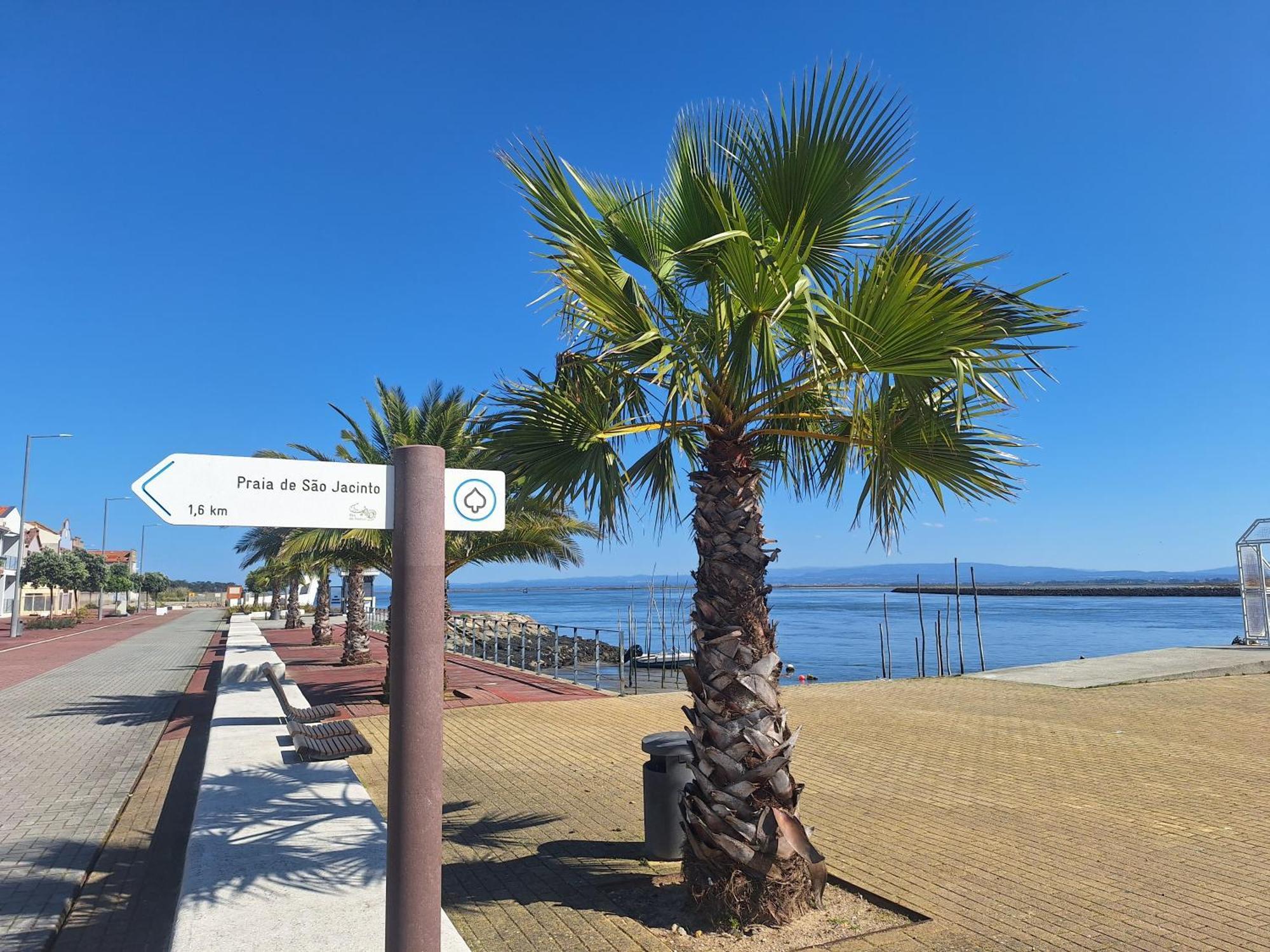 Apartment Close To The Ria De Aveiro, Sao Jacinto Eksteriør billede