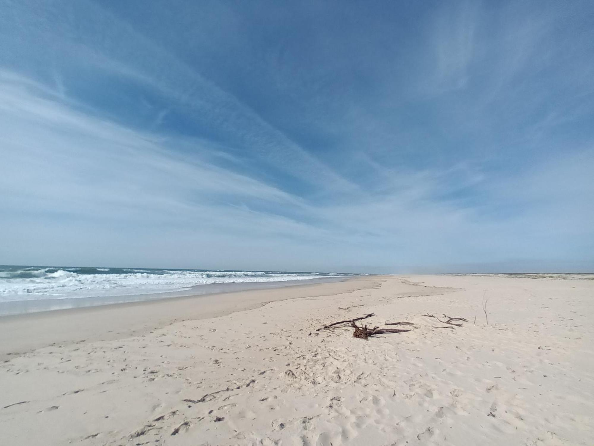 Apartment Close To The Ria De Aveiro, Sao Jacinto Eksteriør billede