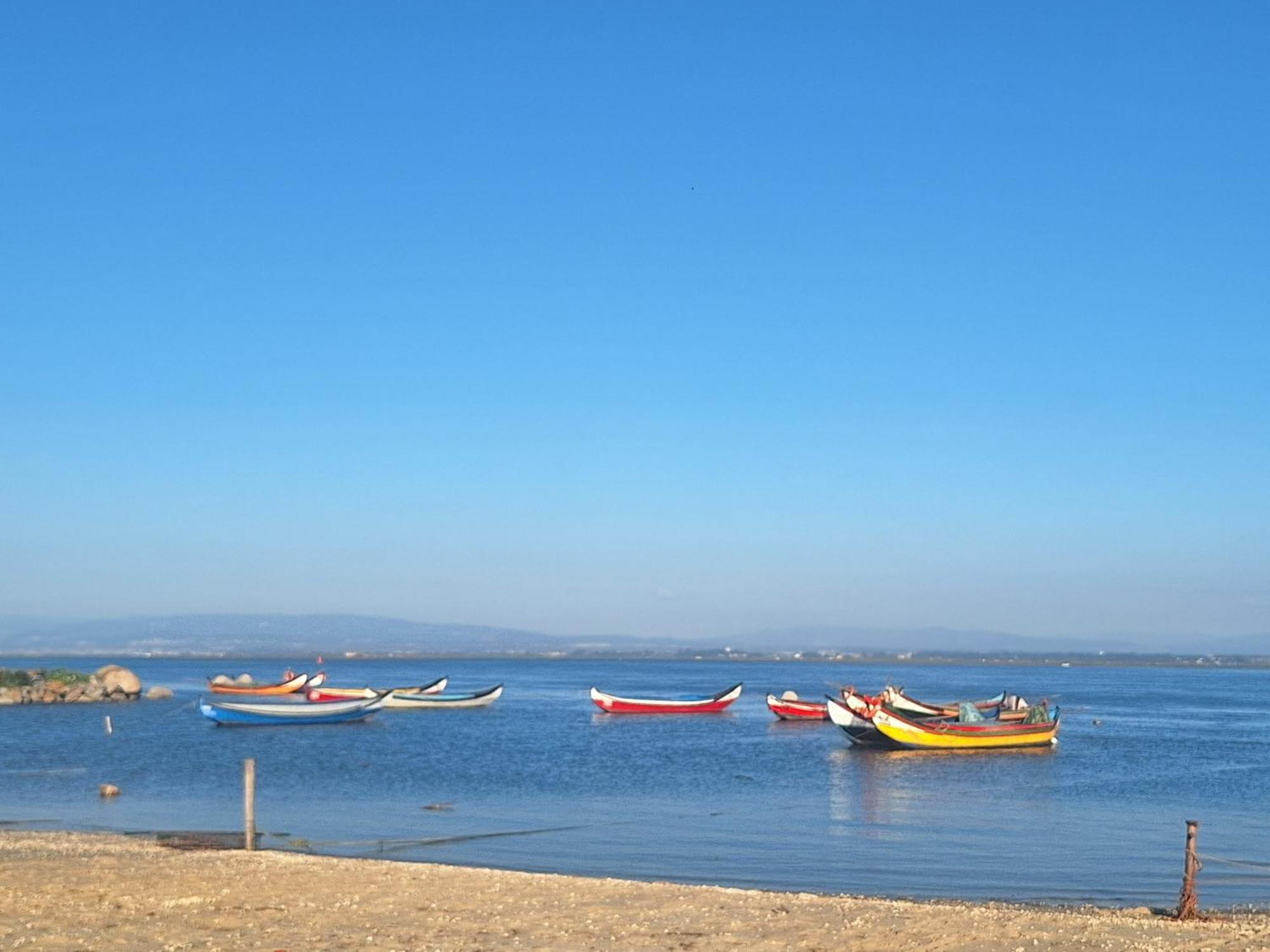 Apartment Close To The Ria De Aveiro, Sao Jacinto Eksteriør billede